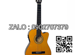 Đàn guitar SDG-6CENL