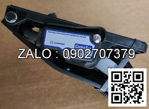 Cảm biến senso FZ3-114-381