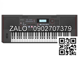 Đàn Organ Roland E-50