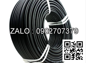 Day dien dieu khien hop nut Palang 10T