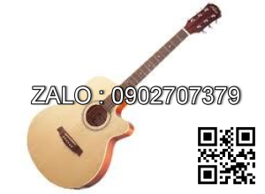 Đàn guitar LO-14CEQ