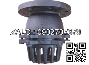 Luppe mặt bích gang DN125