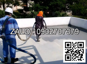 Chống thắm nhà bảo vệ cổng sau 5.0 x 9.0 mét