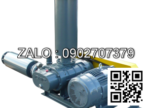 Máy Thổi Khí HEYWEL RSS-200