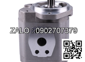 Bơm thủy lực. Canny Hyd C102-RMS-25