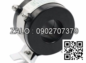 Bien dong CT 100/5A-30*10mm