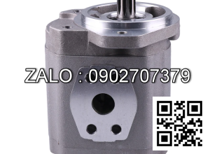 Bơm thủy lực. Denison T6C 017 1R02B1