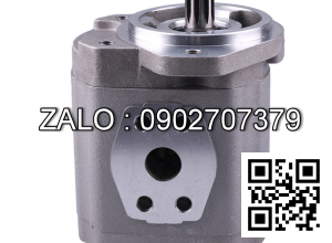 Bơm thủy lực. PERMCO M1500A-890SPL-KDZA10-19M