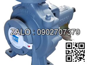 BƠM ĐIỆN ELEKTRIM 18.5KW EBARA 80×65 FSJA