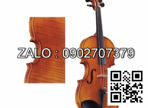Đàn Violin Harper AGW 208-2/4