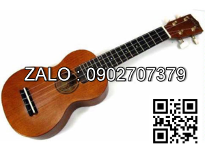 Đàn Guitar Ekulele
