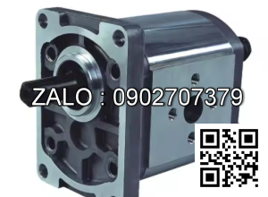 Bơm thủy lực Bánh răng CBT-F306