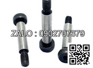 Bulong Dẫn Hướng Thép Đen 12.9 ISO7379 D6x16