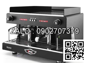 Máy pha cafe WEGA PEGASO EVD 2GR