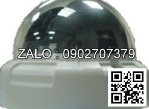 Camera áp trần D3W-300H