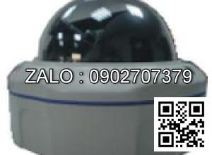 Camera áp trần D3W-300HE