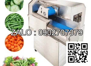 Máy Thái Rau Củ Quả Băng Tải