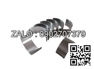 Bộ miễng dên , Miễng cốt máy cos +0.75 động cơ FIAT GROUP 8215.02*542 , 6 CYL , CM3