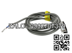 Cảm Biến Xi Lanh CS1-F, CS1-U, CS1-S, CS1-G, CS1-J