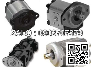 Bơm thủy lực DELTA HYDRAULIC , C45