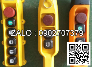 Điều khiển từ xa cầu trục cổng trục 2 nút