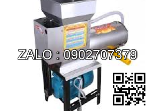 Máy nghiền vắt nghệ liên hoàn sắt NG-250S (motor 3kw)