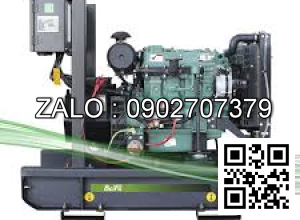 Máy phát điện Baifa BF-DW700