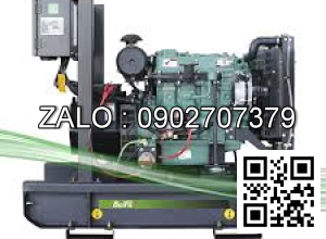 Máy phát điện Baifa BF-DW750