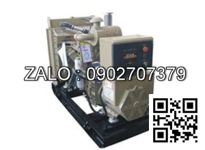 Máy phát điện Dongfeng 002