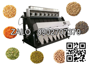 Máy phân loại màu hạt đậu