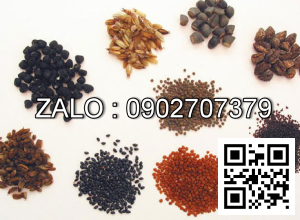 Hạt giống cây trồng