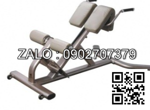 Ghế tập lưng dưới 9046