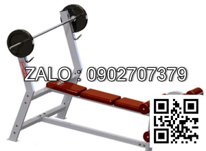 Ghế đẩy tạ chúi VGB605203