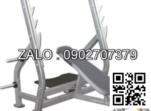 Ghế đẩy tạ dốc lên Life 8626