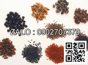 Hạt giống cây trồng