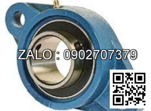 Bade nam 2 lo FYTB 508 M