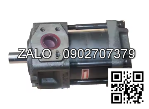 Bơm thủy lực IGP7-250