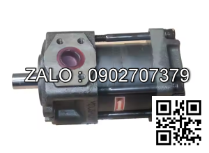 Bơm thủy lực IGP6-100