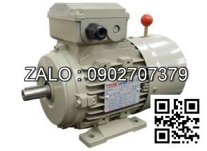 Motor mặt bích 3 pha TransmaX 220kW (3000 RPM) 2 cực Vỏ gang