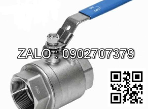 Van bi ren 2 PC SUS 316 DN32