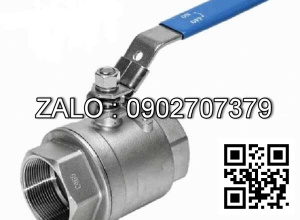 Van bi ren 2 PC SUS 316 DN250