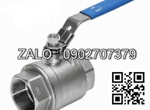 Van bi ren 2 PC SUS 316 DN300