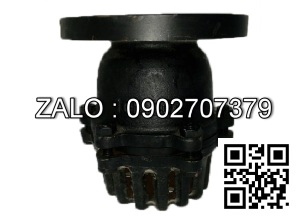 Rọ rôm mặt bích JIS 10K gang DN32