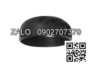 Chén hàn SCH40 gang DN450