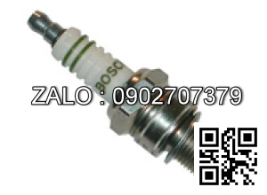 PLUG-SPARK BS W8DC
