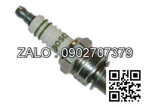 PLUG-SPARK D16