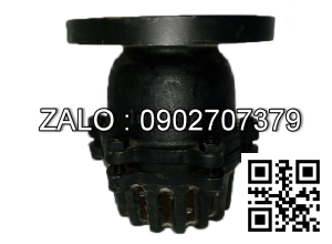 Rọ rôm mặt bích JIS 10K mạ kẽm DN300