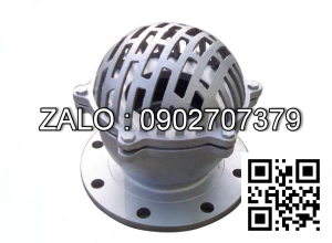 Rọ bơm mặt bích PN16 mạ kẽm DN100