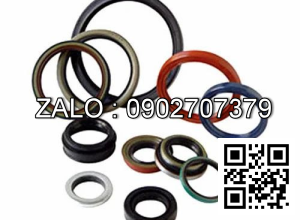 Bộ phốt dùng cho Xi Lanh thủy lực 63x28x300