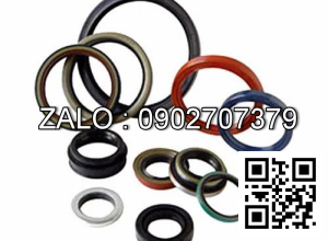 Bộ phốt dùng cho Xi Lanh thủy lực HSGL01-80/45-250